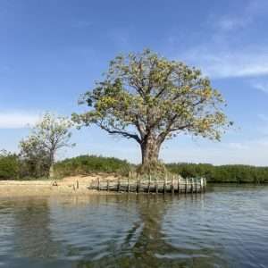 5F731588-84AC-4201-8049-8FA17A4A98FC_1_105_c