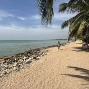 8BDFB3E7-906E-4460-BBD7-60694DE4D3EF_1_105_c